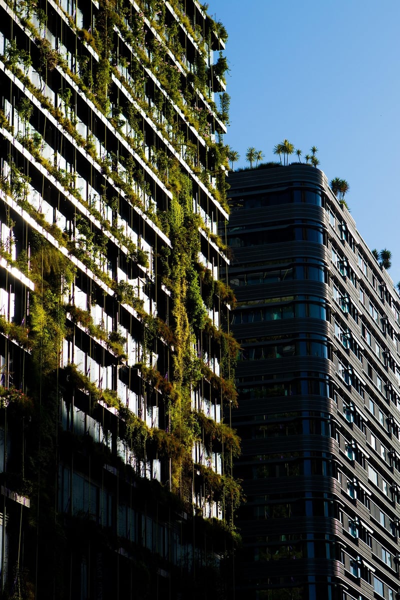 Vertical gardening tips